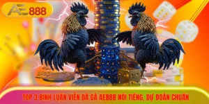 Top 3 Bình Luận Viên Đá Gà AE888 Nổi Tiếng, Dự Đoán Chuẩn