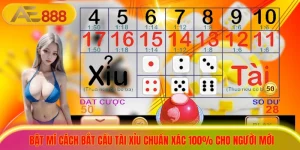 Bật Mí Cách Bắt Cầu Tài Xỉu Chuẩn Xác 100% Cho Người Mới