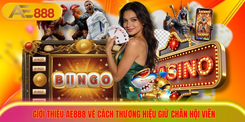 Giới thiệu ae888 về cách thương hiệu giữ chân hội viên